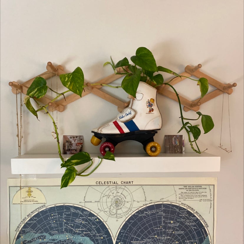 Photo of the plant species Golden Pothos by @thenicooliest named Bea on Greg, the plant care app