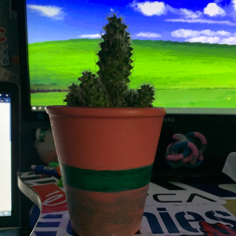 Lady Finger Cactus plant photo by @teresalaselva named peter on Greg, the plant care app.