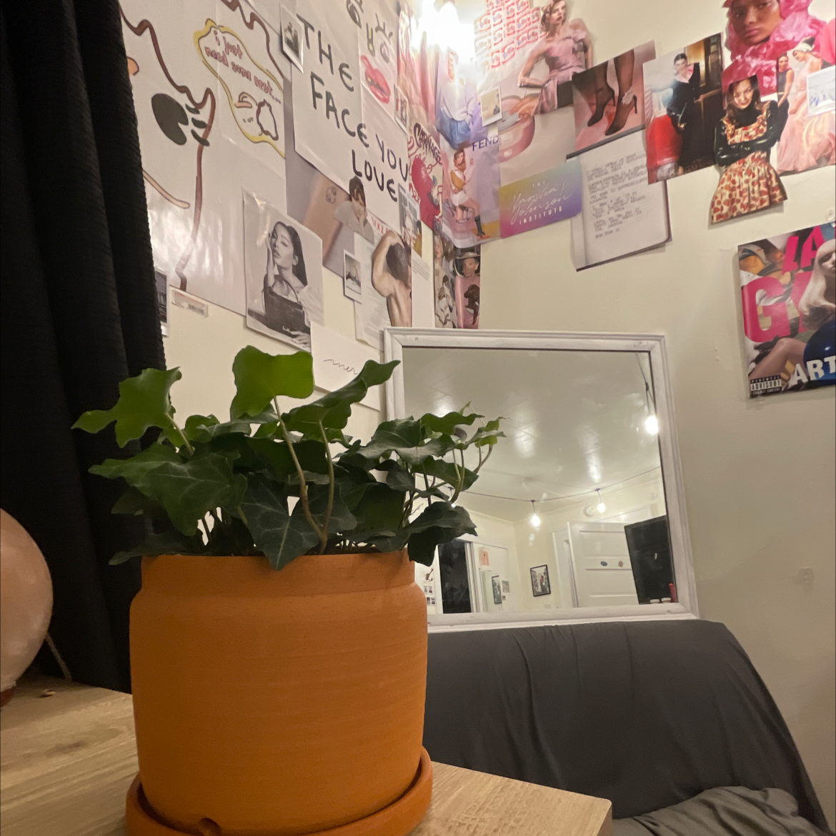 A small healthy English Ivy plant in an orange pot on a cluttered desk with posters on the wall behind it.