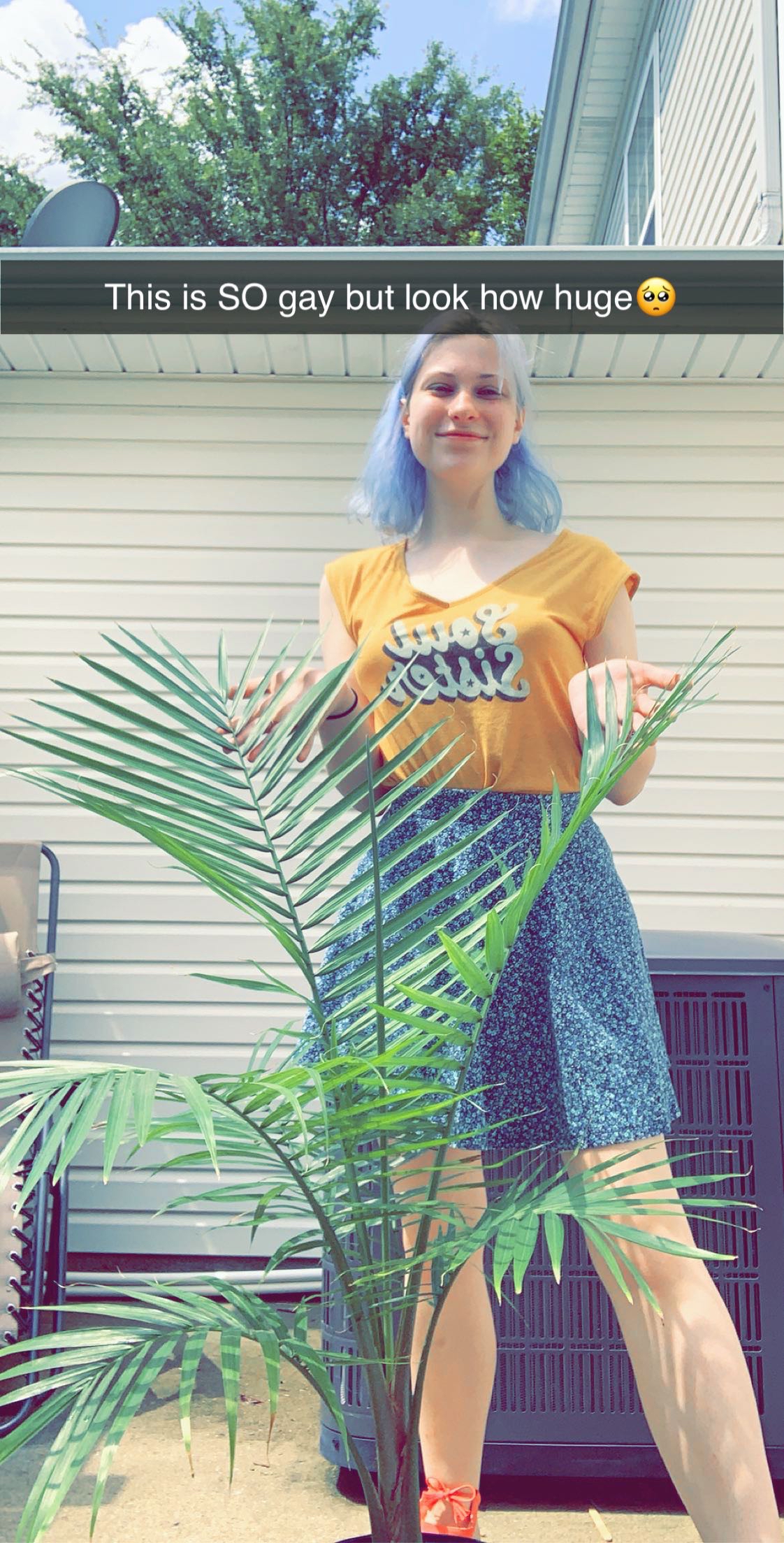 Woman holding large, healthy majesty palm plant while smiling. White house and more plants in background.