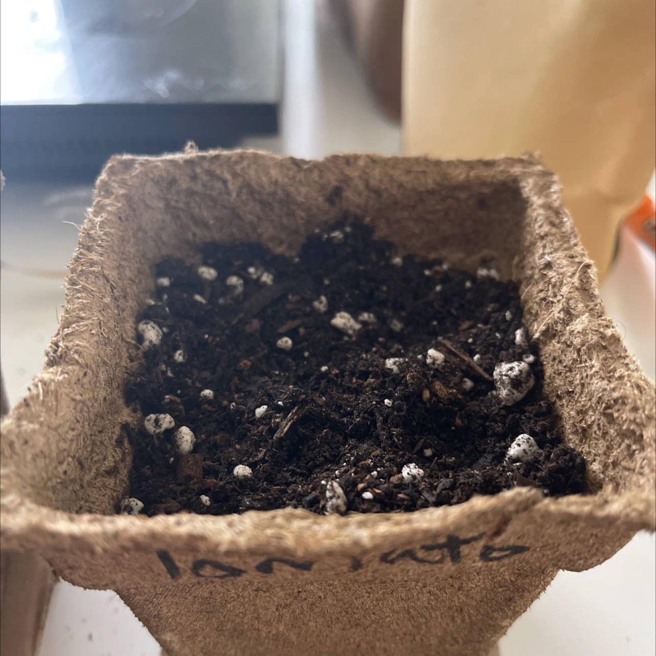 Small pot labeled 'tomato' filled with soil, no visible plant.