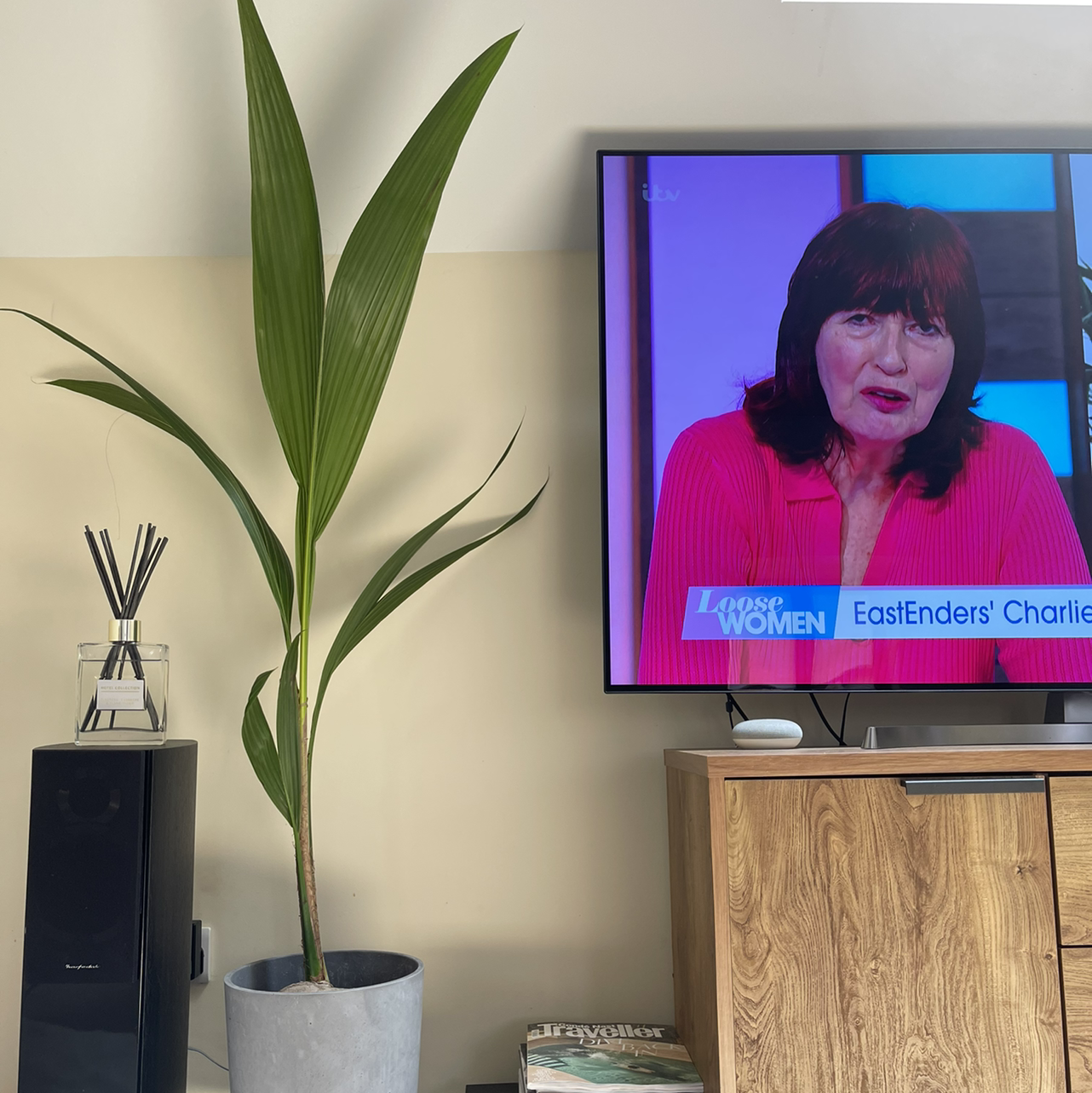 Photo of the plant species Coconut by James named Duke on Greg, the plant care app