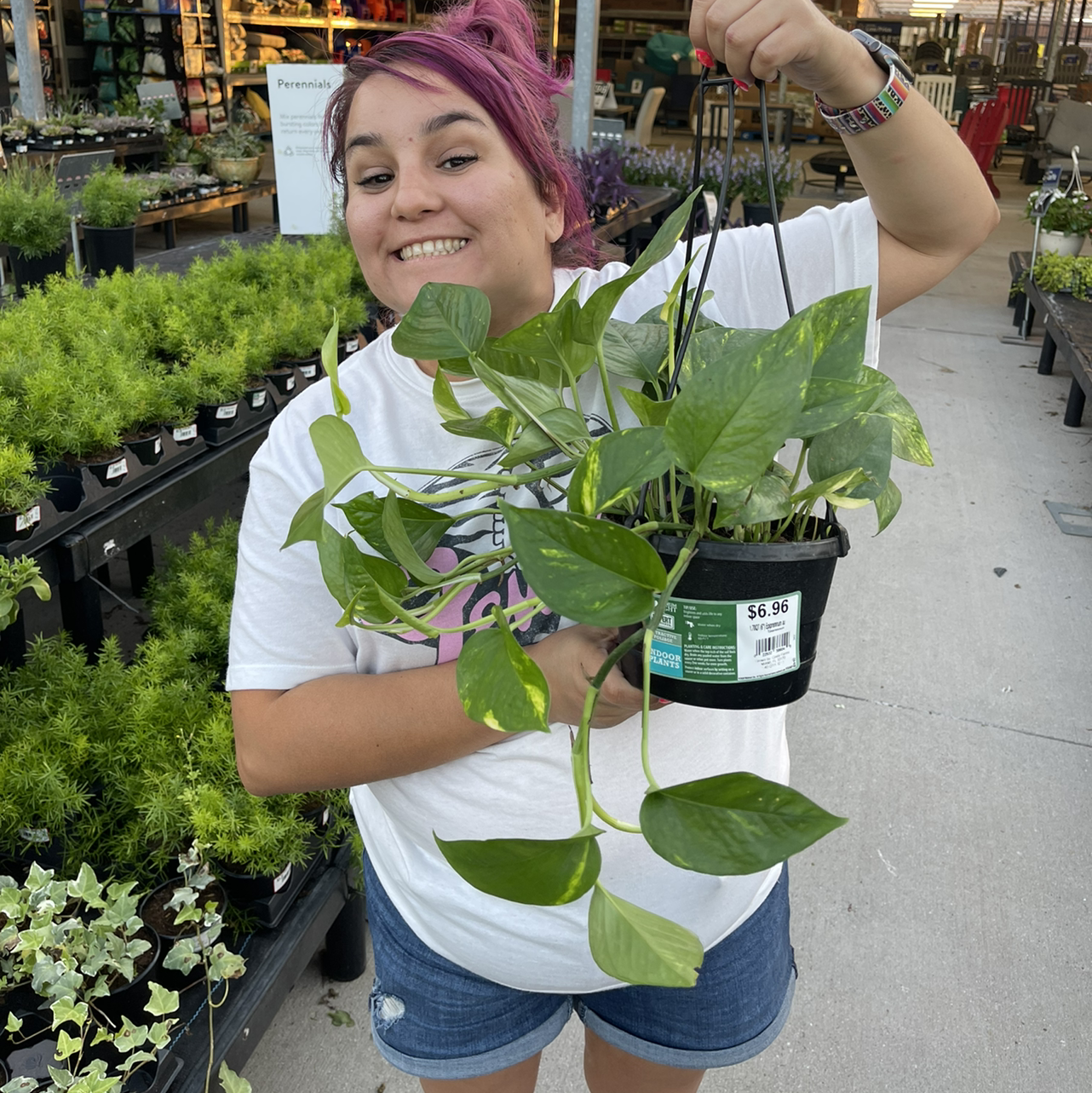 Taro Vine plant photo by @Beckasparkle named Pongo on Greg, the plant care app.