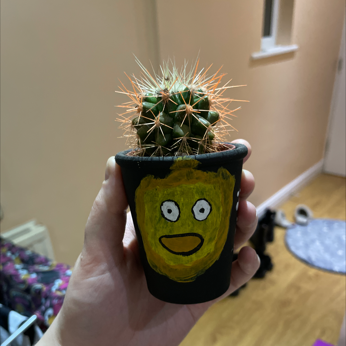 Golden Barrel Cactus plant photo by @MidnightSquid named Calcifer on Greg, the plant care app.