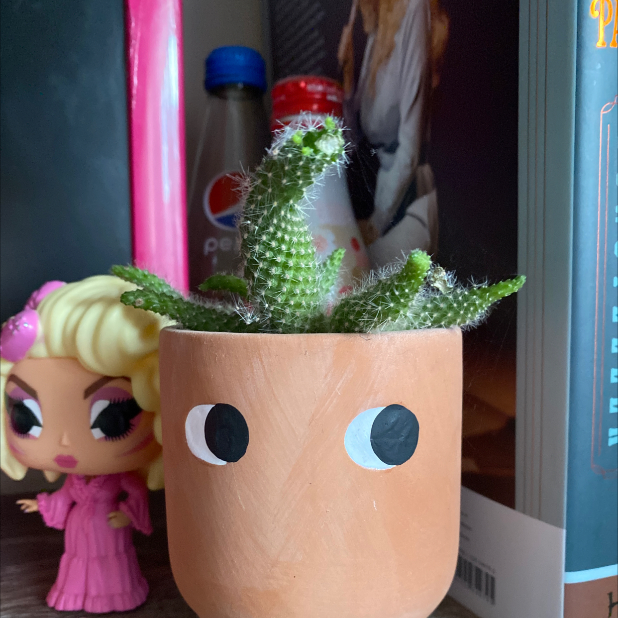 Photo of the plant species Aylostera albiflora 'Rebutia' by @jakobxwalsh named Guadalupe on Greg, the plant care app