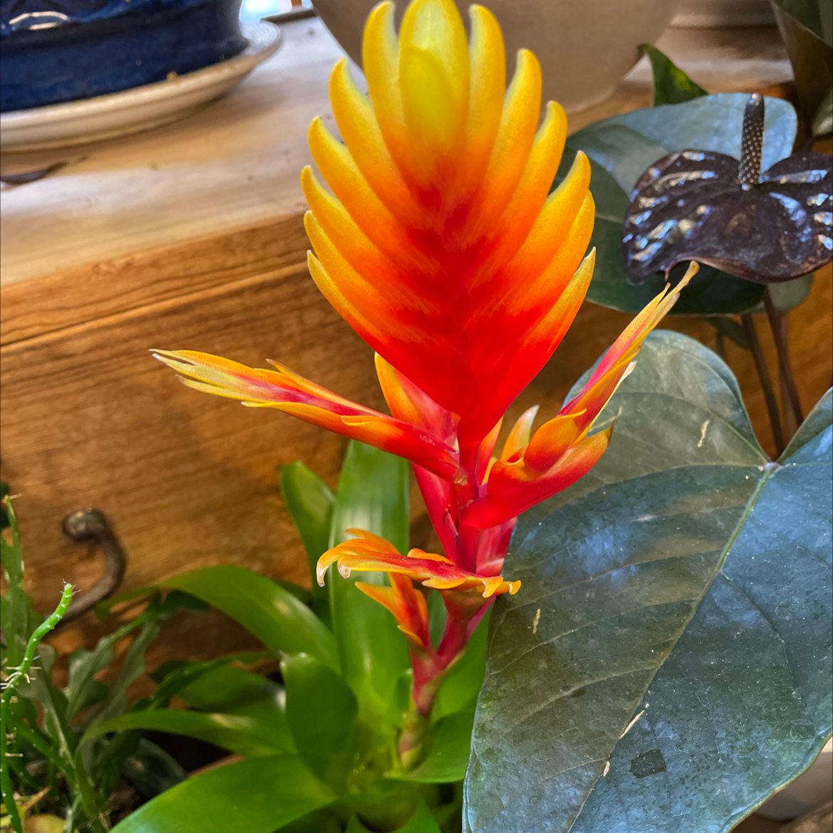 🔥 What Temperature Does My Flaming Sword Need?