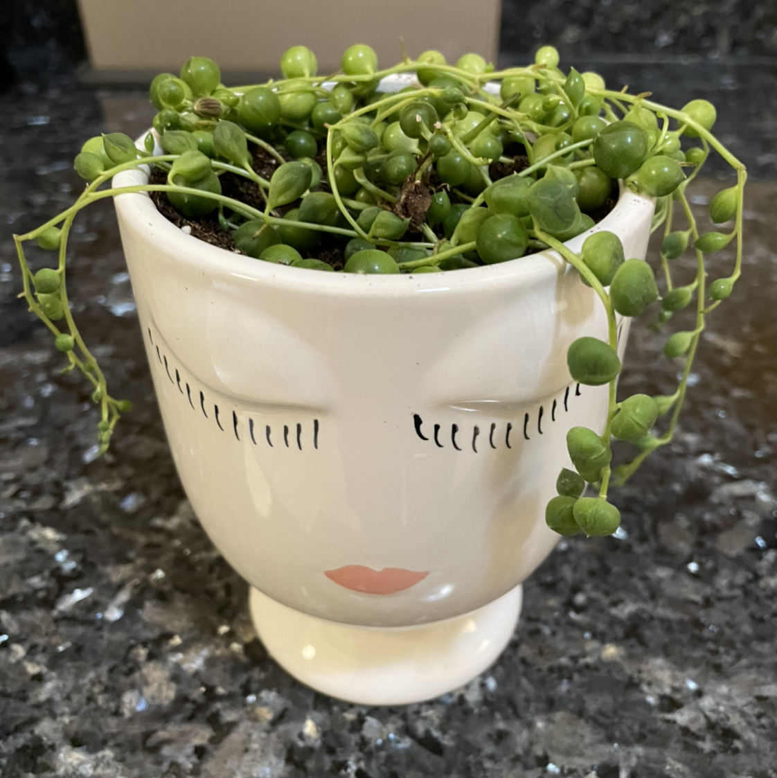 String of Pearls plant in a decorative pot with a face design.