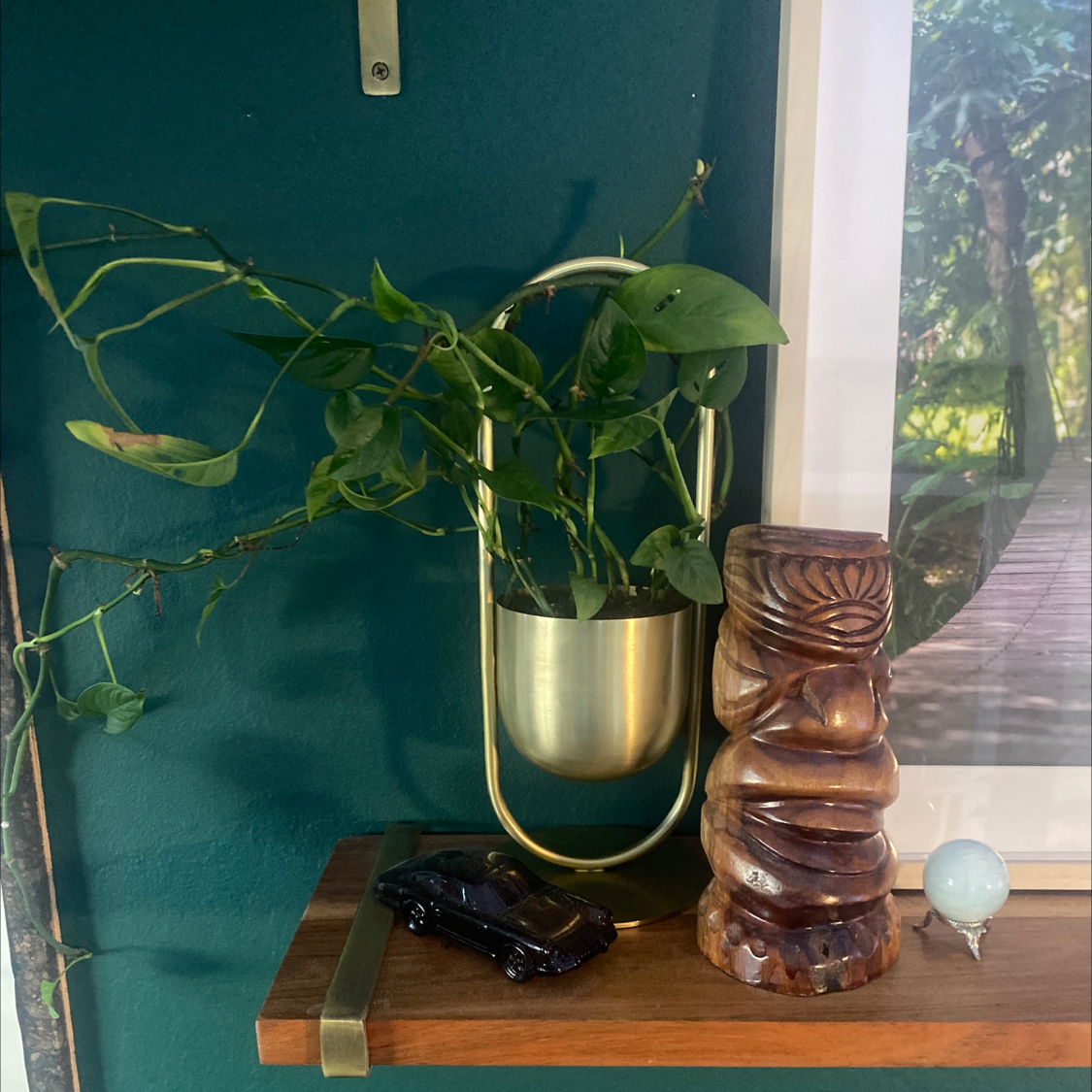 Swiss Cheese Vine plant photo by @nikkilynn named Desmond on Greg, the plant care app.