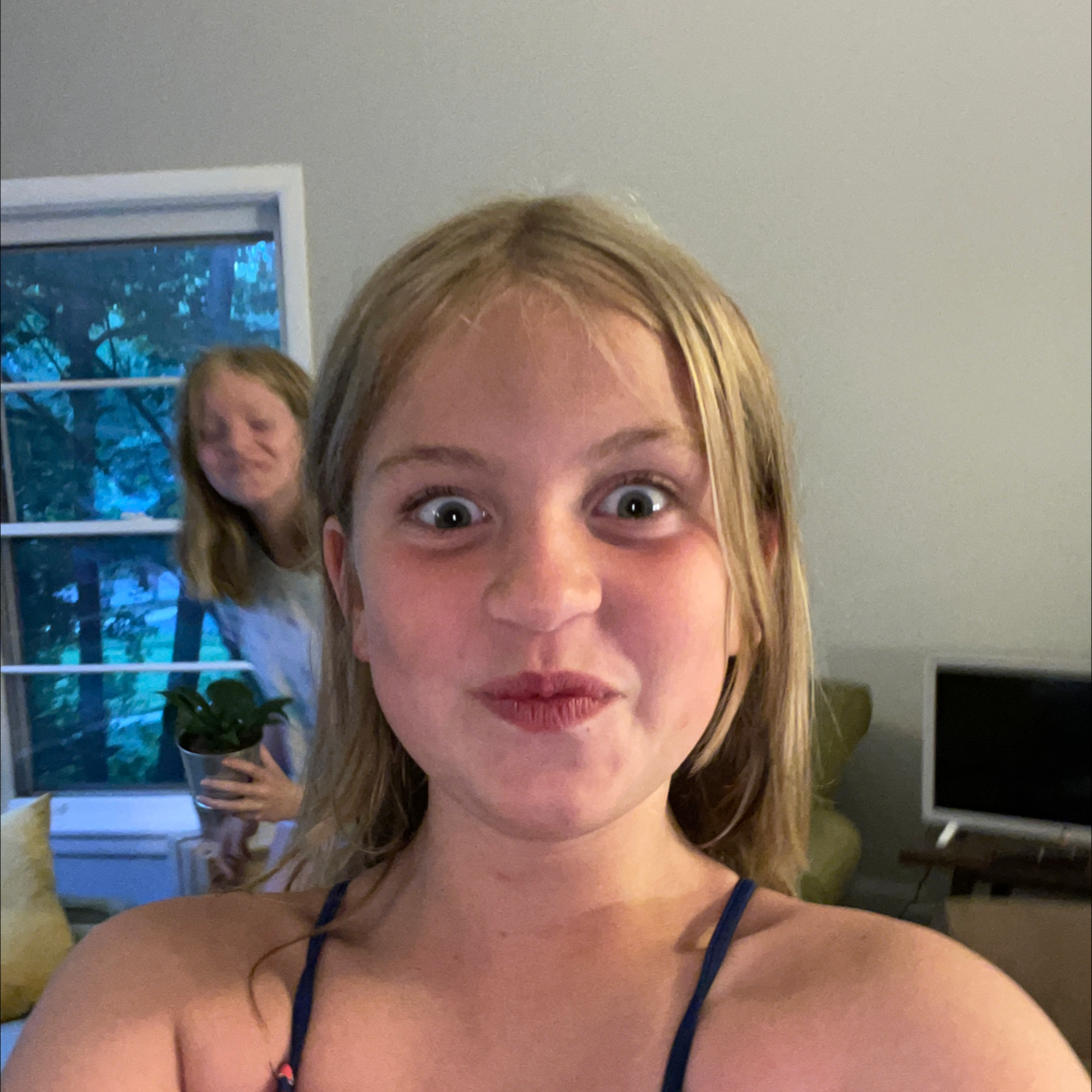 Photo of the plant species Japanese Maple by @Ali13plantatree named Bodhi on Greg, the plant care app