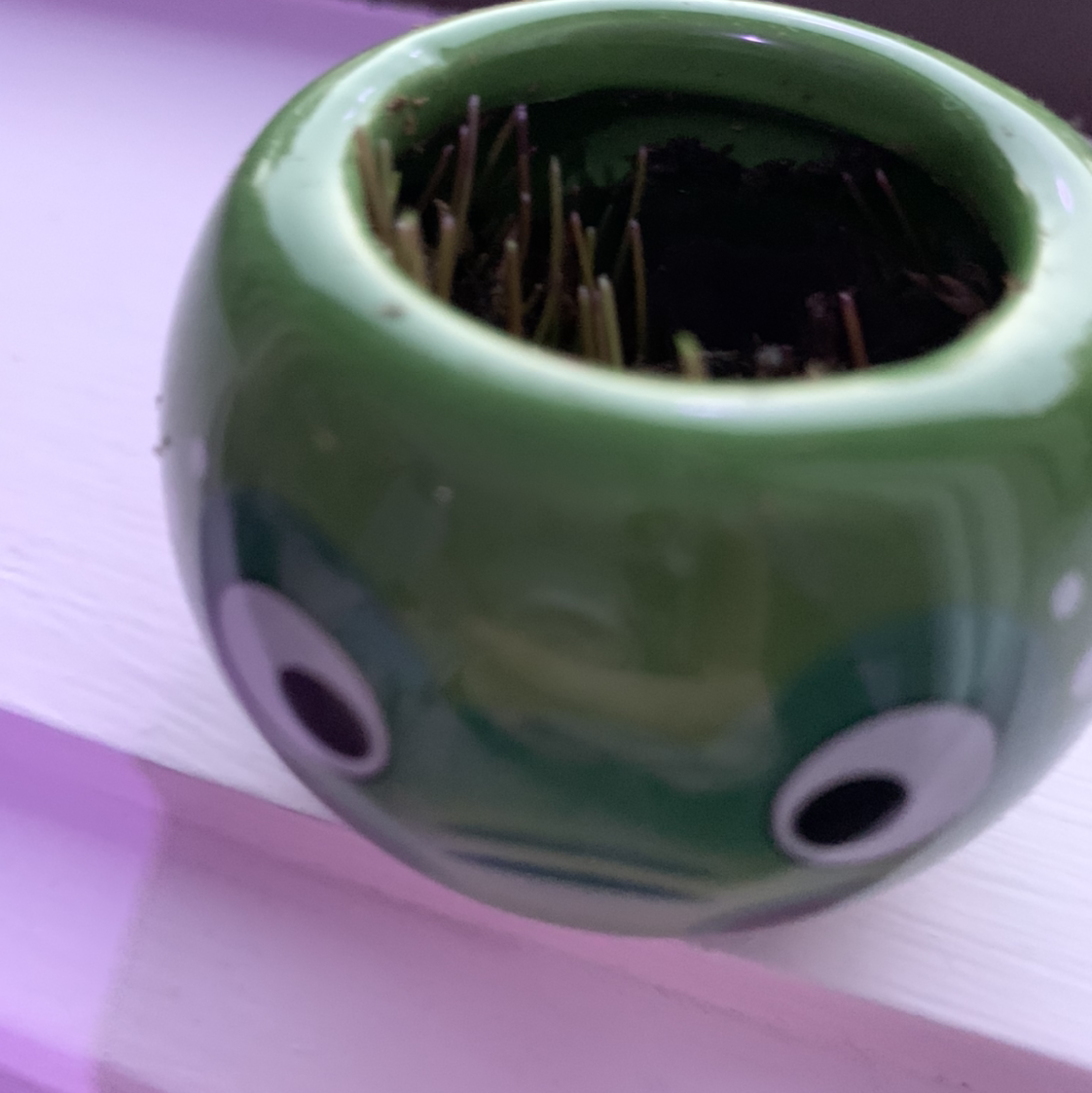 Photo of the plant species Wheatgrass by @0x3 named Lizard man on Greg, the plant care app