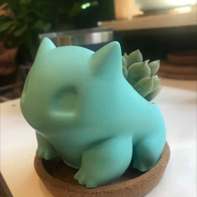 Photo of the plant species Echeveria Runyonii by @jschu named Bulbasaur on Greg, the plant care app
