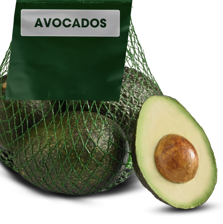 Wurtz Avocado plant photo by Ethan named Forrest on Greg, the plant care app.