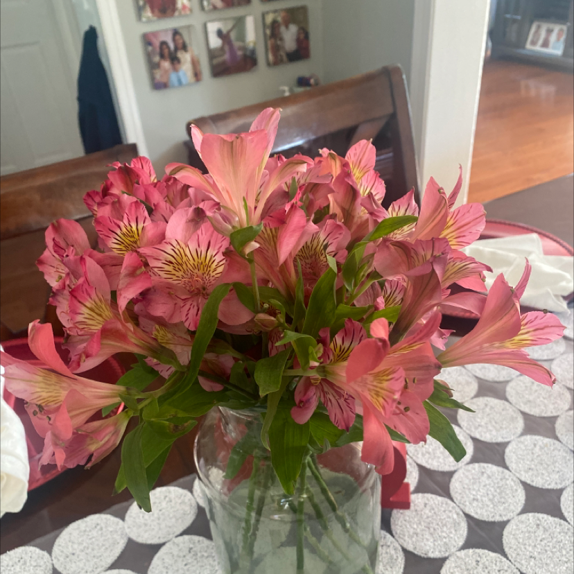Bouquet of pink Peruvian-Lily flowers in a glass vase on a table.
