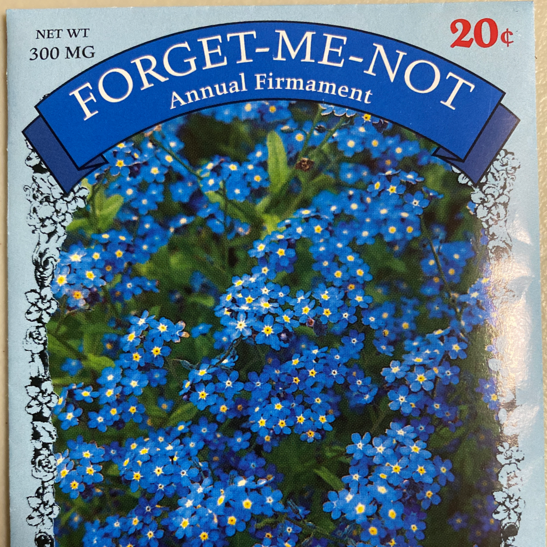 Photo of the plant species Asian Forget-Me-Not by @Xnashy named Forgy on Greg, the plant care app