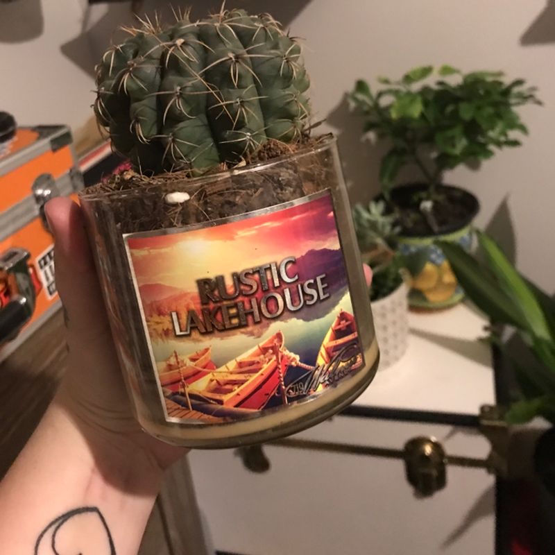 Kingcup Cactus in a glass container labeled 'Rustic Lakehouse', held by a hand.
