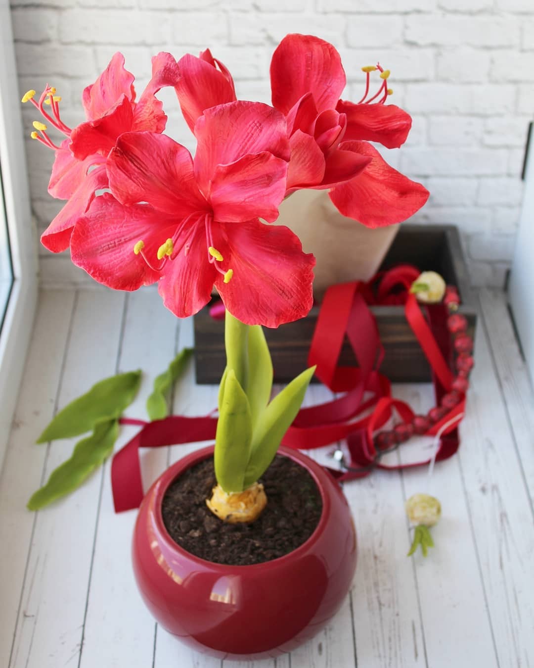 Photo of the plant species Barbosa Lily on Greg, the plant care app