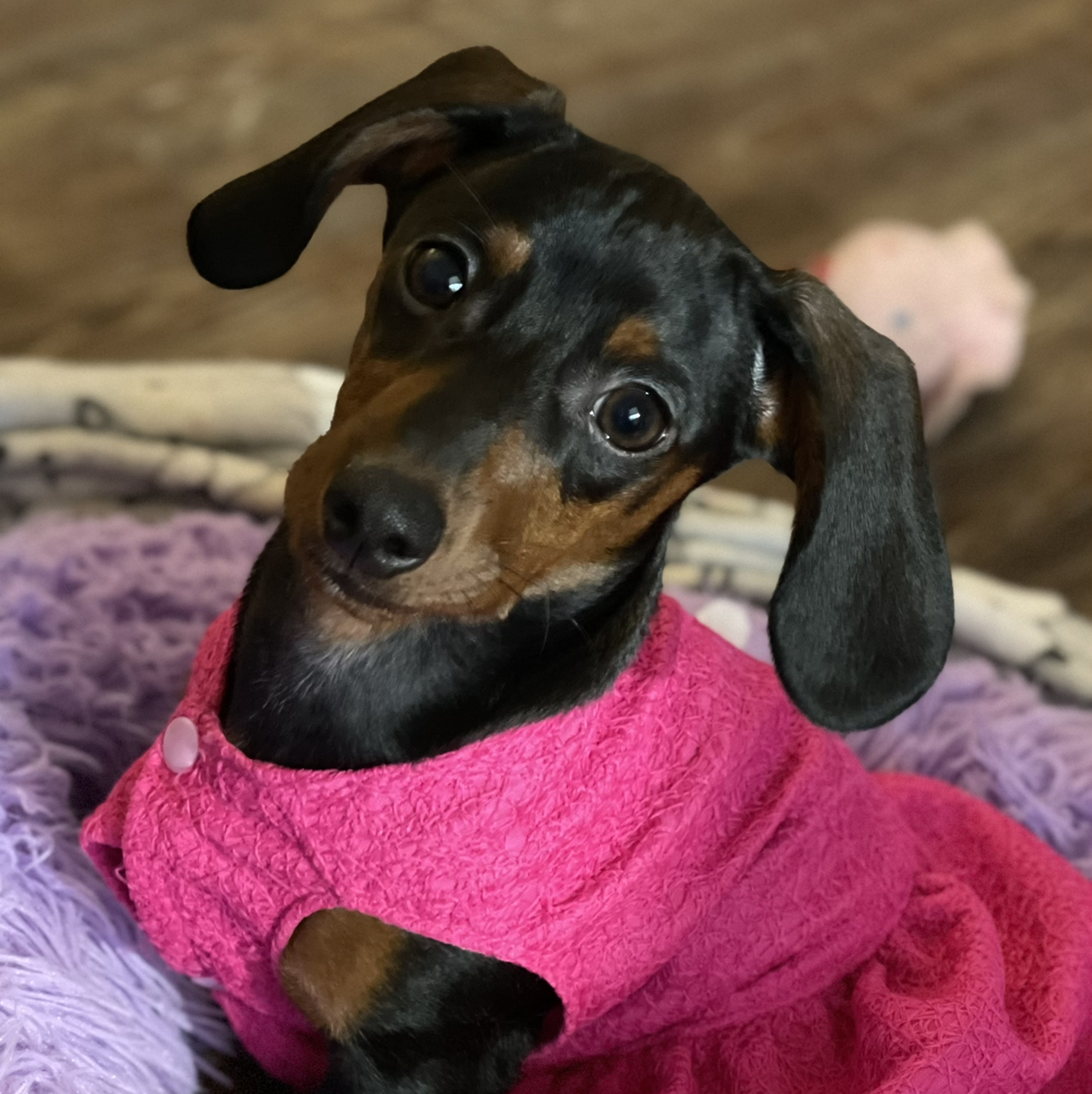 Avatar for @DirtyDeeds on Greg, the plant care app