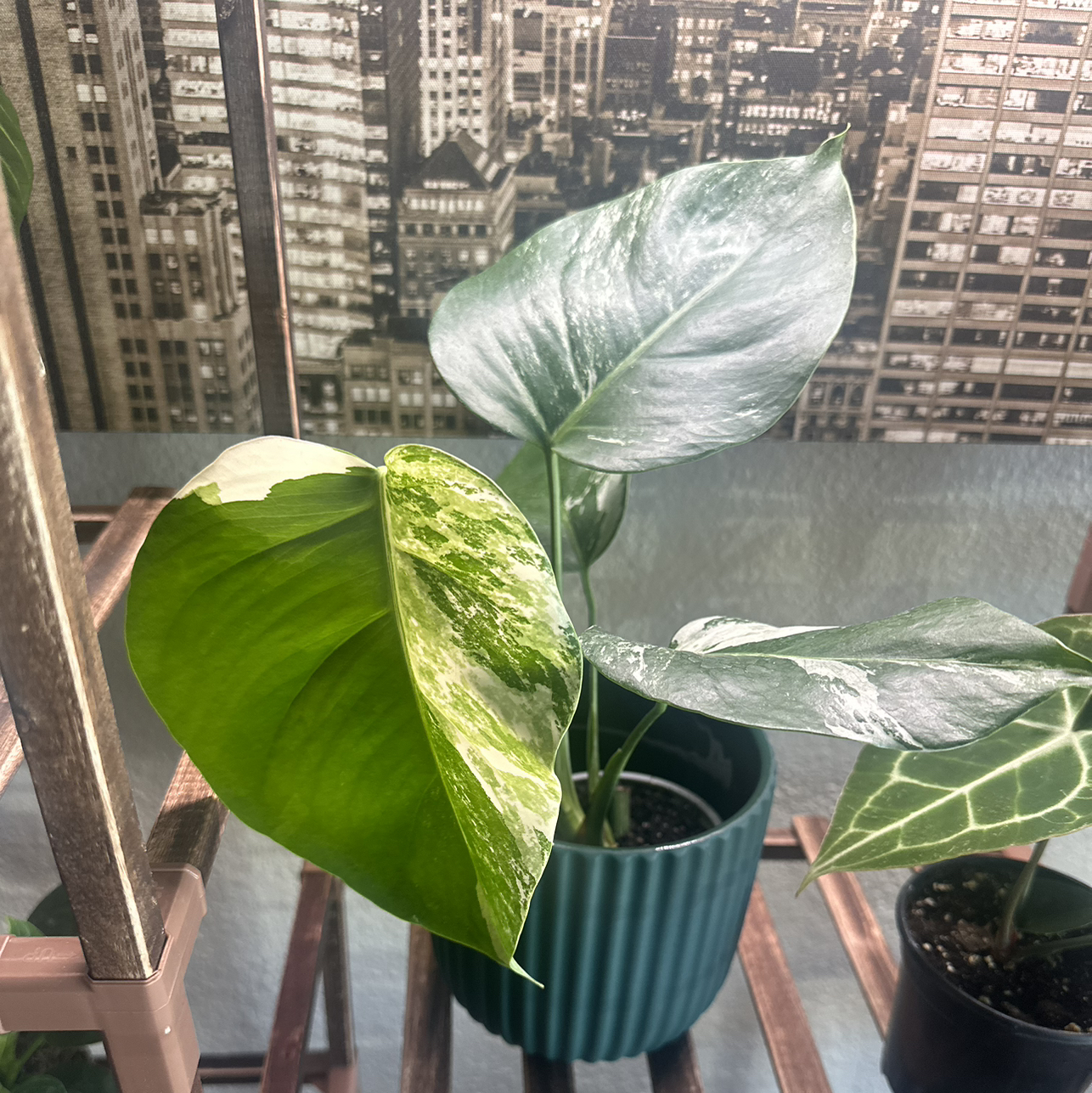 @KirstenLynneCo avatar