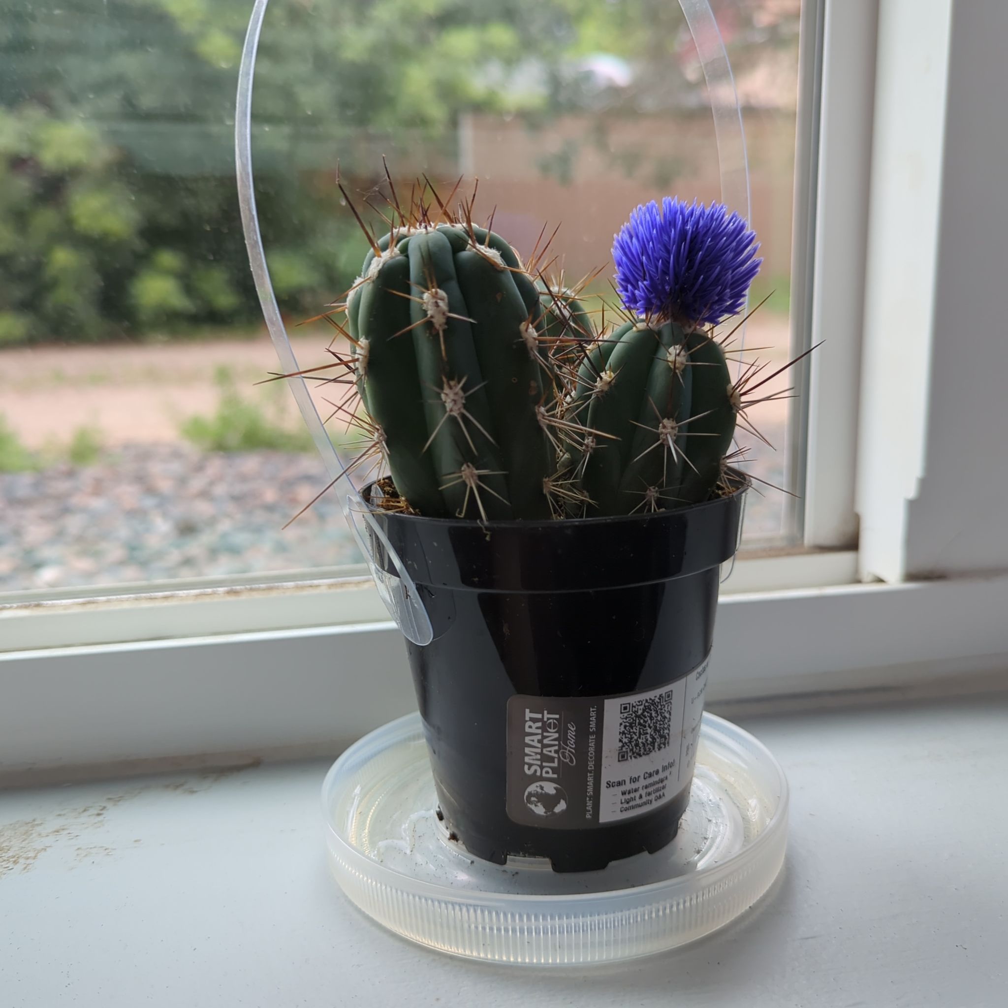 @SleekTawapou avatar