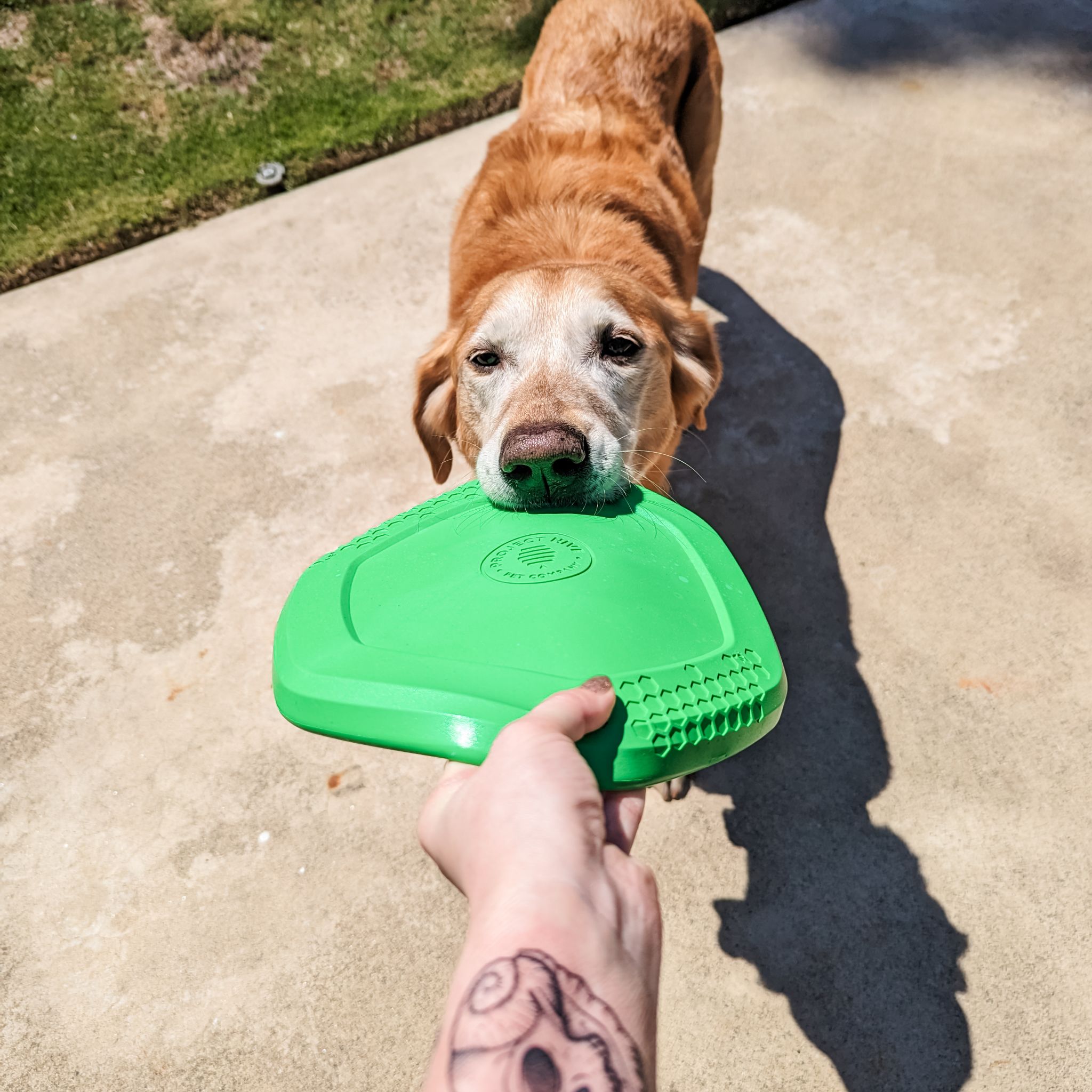 Avatar for @Casmicyo on Greg, the plant care app