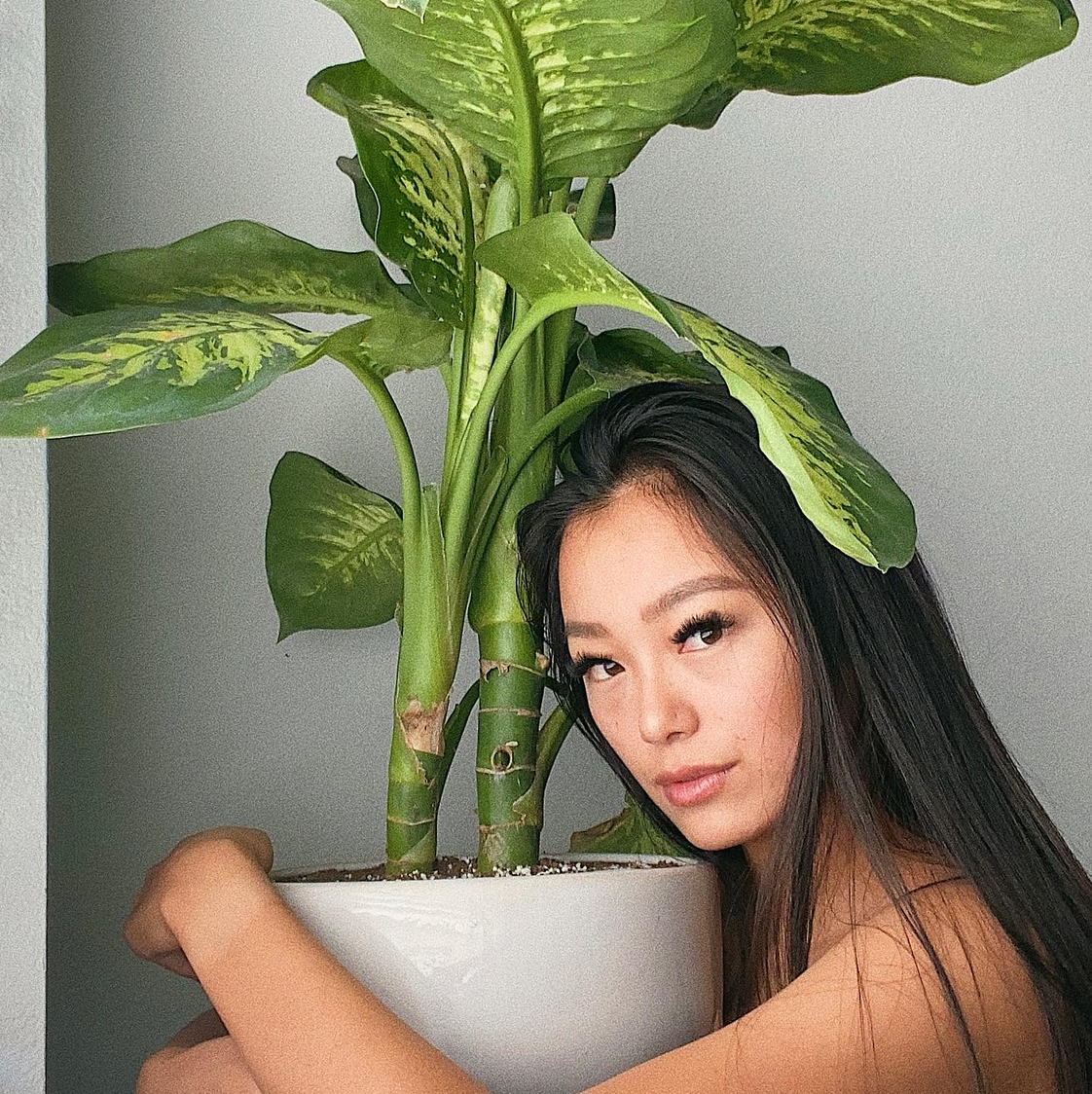 Avatar for @siamese.kat on Greg, the plant care app