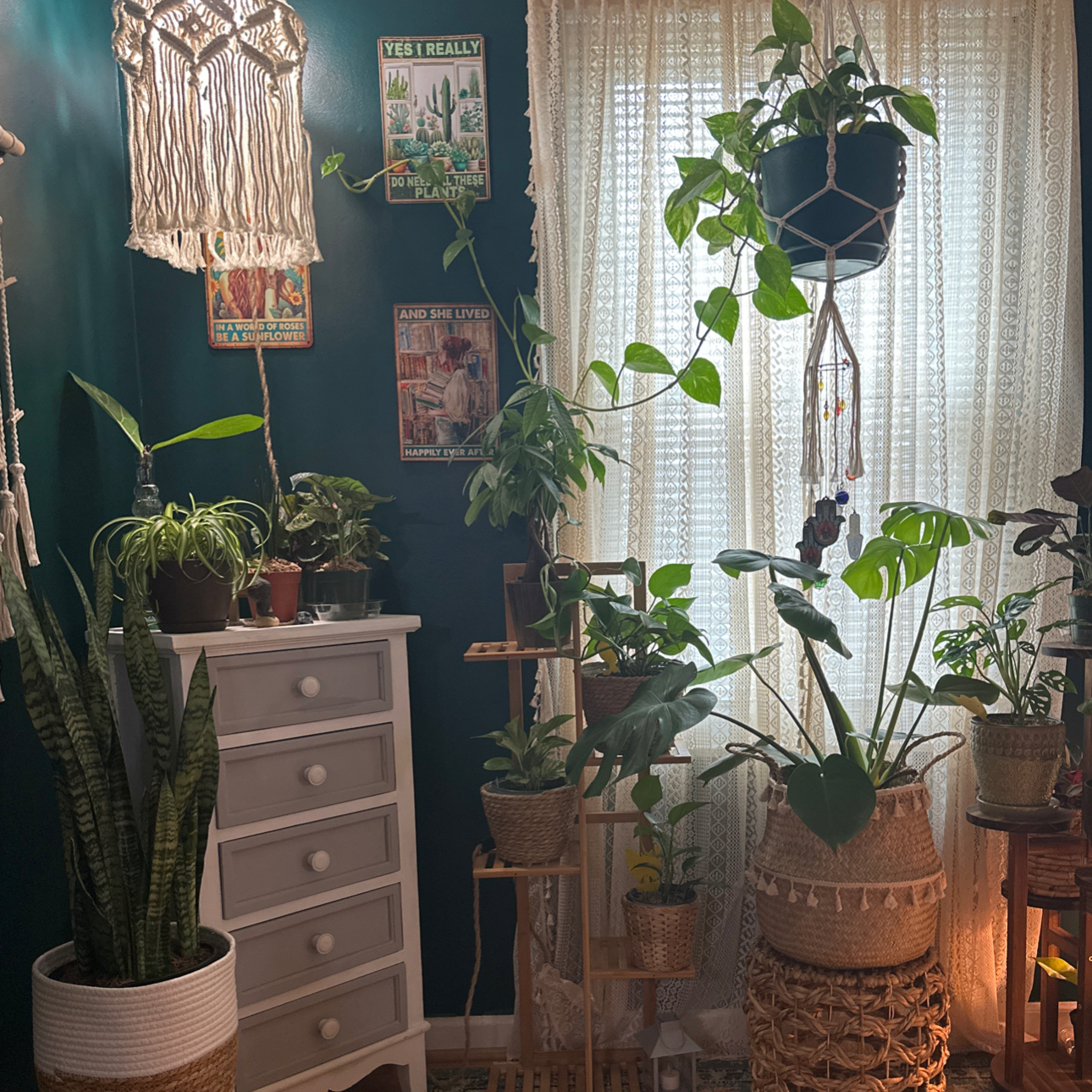 Avatar for @GreenWithEnvy3 on Greg, the plant care app