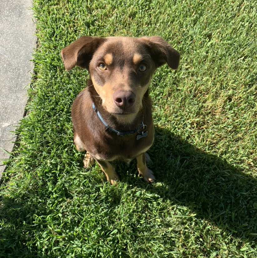 Avatar for @Ashleighb on Greg, the plant care app