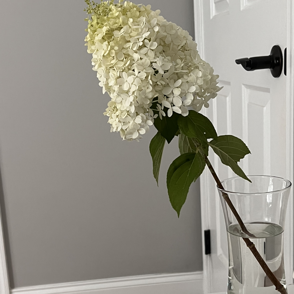 @emileesheridan avatar