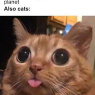 @Creativename avatar