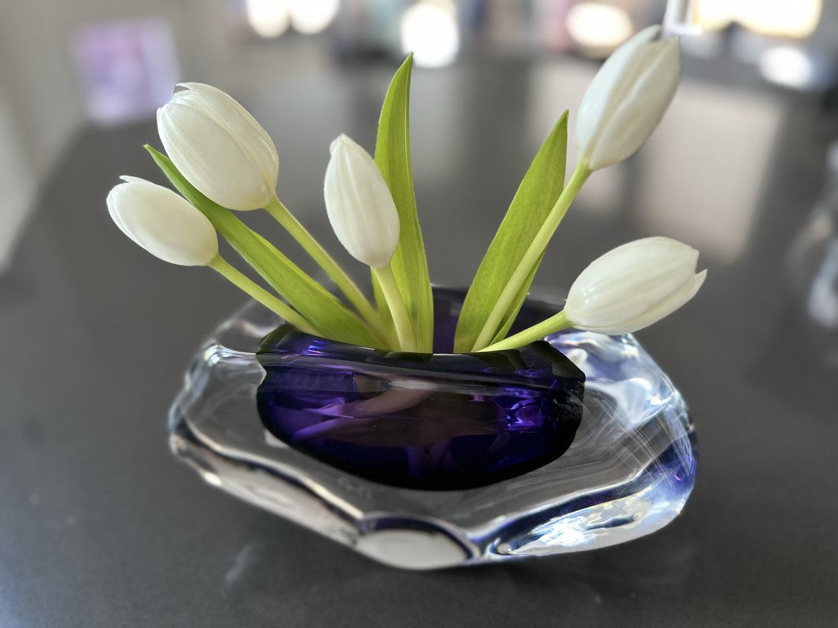 @PoshBlackhoya avatar