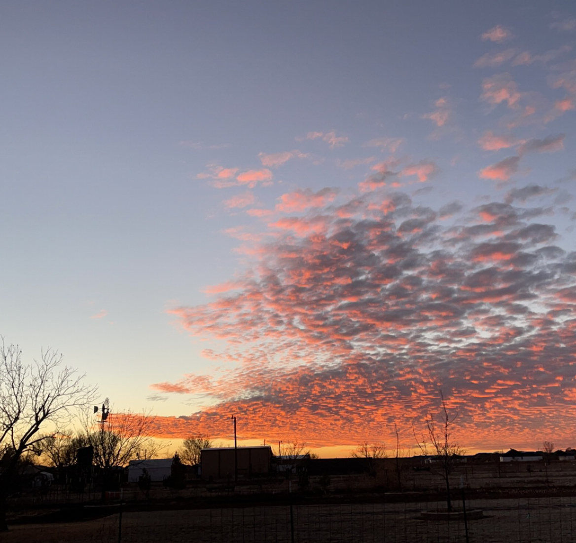 Avatar for @plantperson on Greg, the plant care app