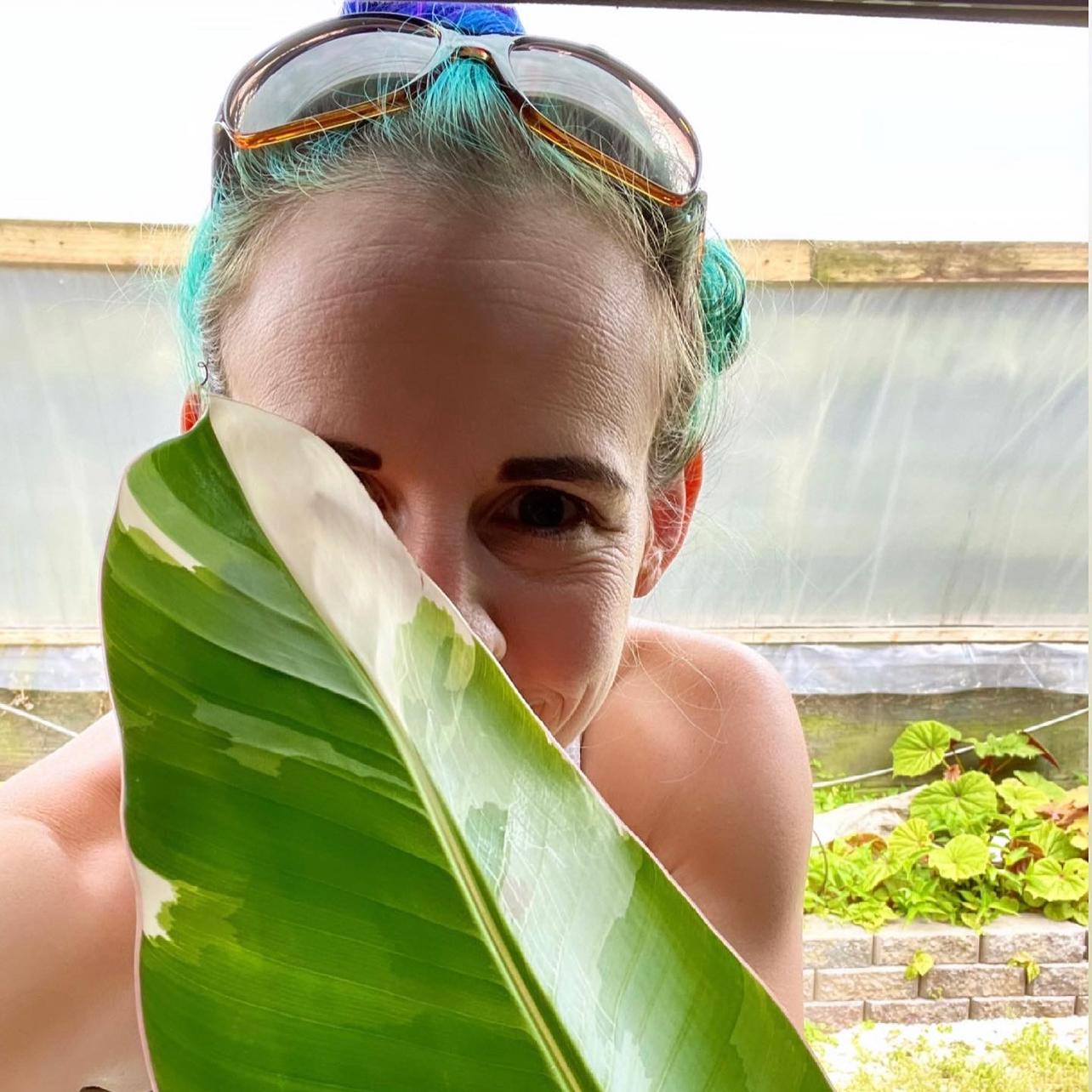 Avatar for @dakotafox on Greg, the plant care app