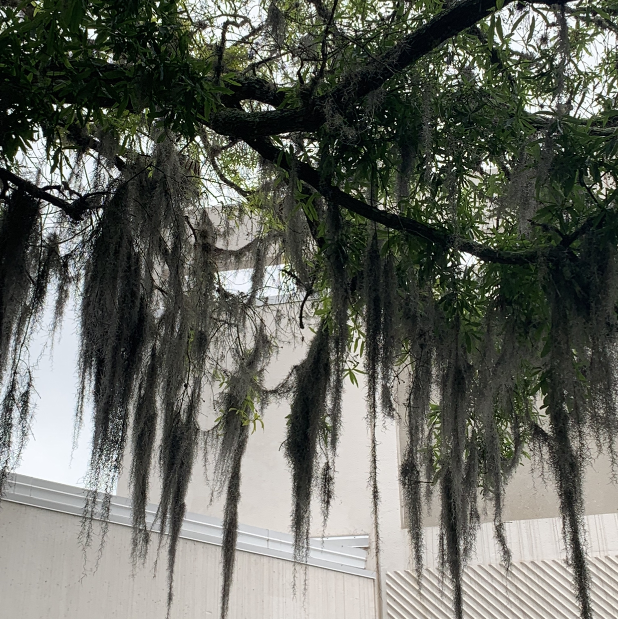 Avatar for @Katmathilda on Greg, the plant care app