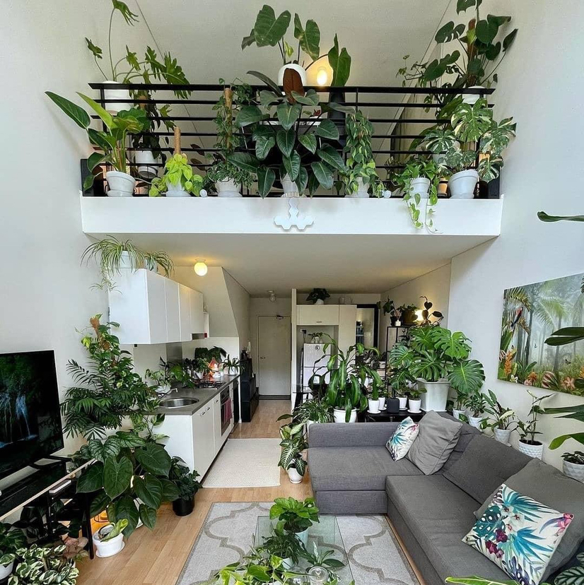 Avatar for @Dana on Greg, the plant care app