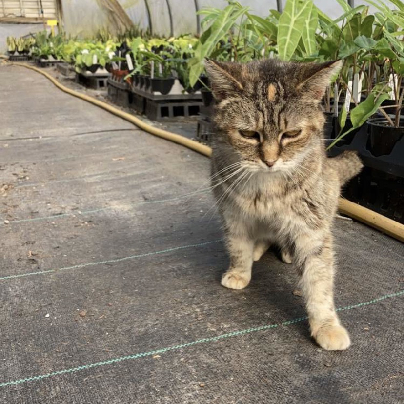 Avatar for @botelloen on Greg, the plant care app