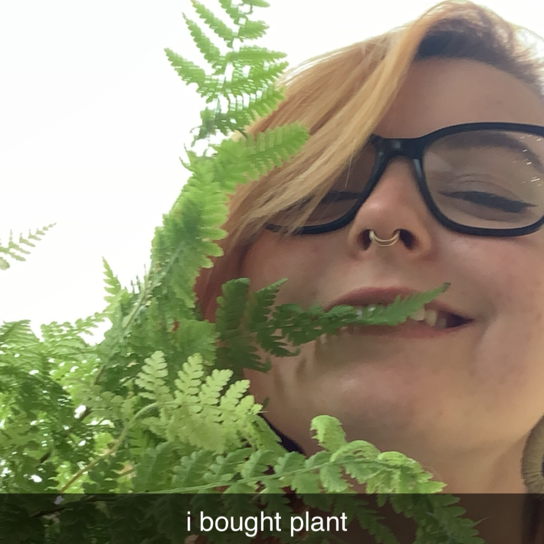 Avatar for @stella.ffs on Greg, the plant care app