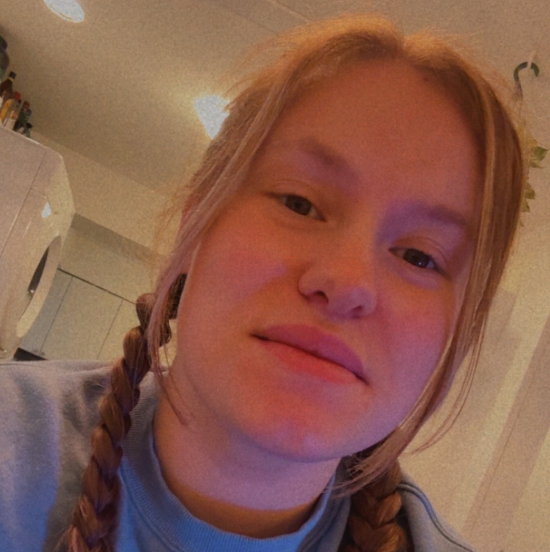 @Sarahe33 avatar