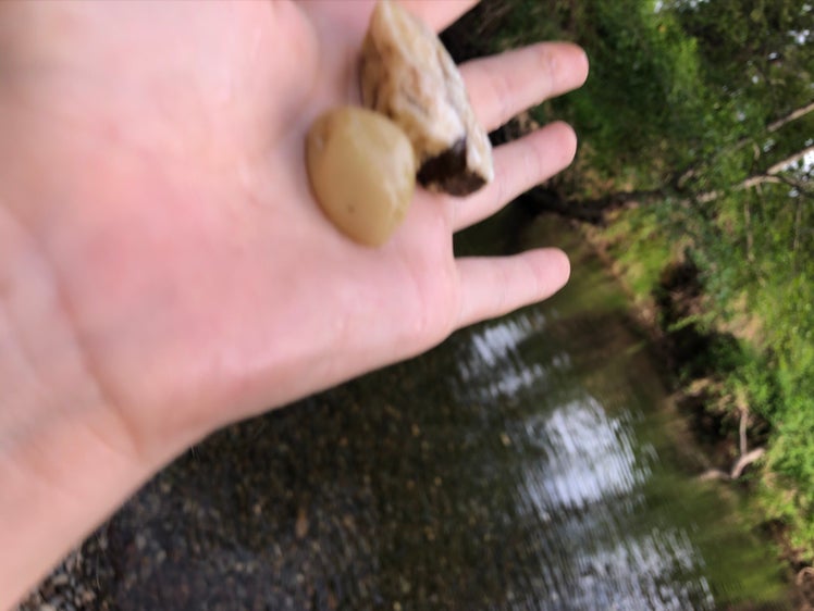 Avatar for @Alexiss710 on Greg, the plant care app