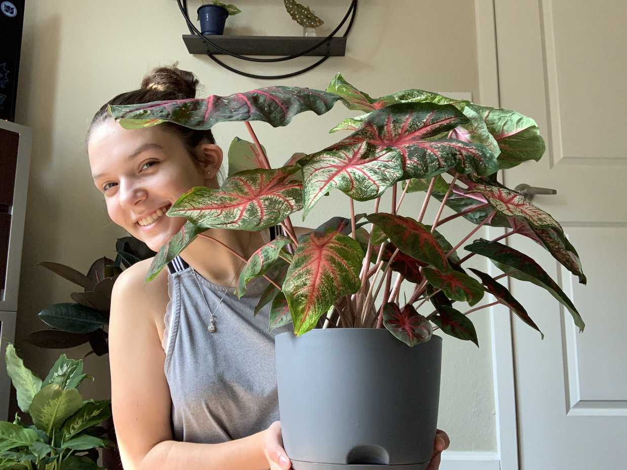 Avatar for @Taylor on Greg, the plant care app