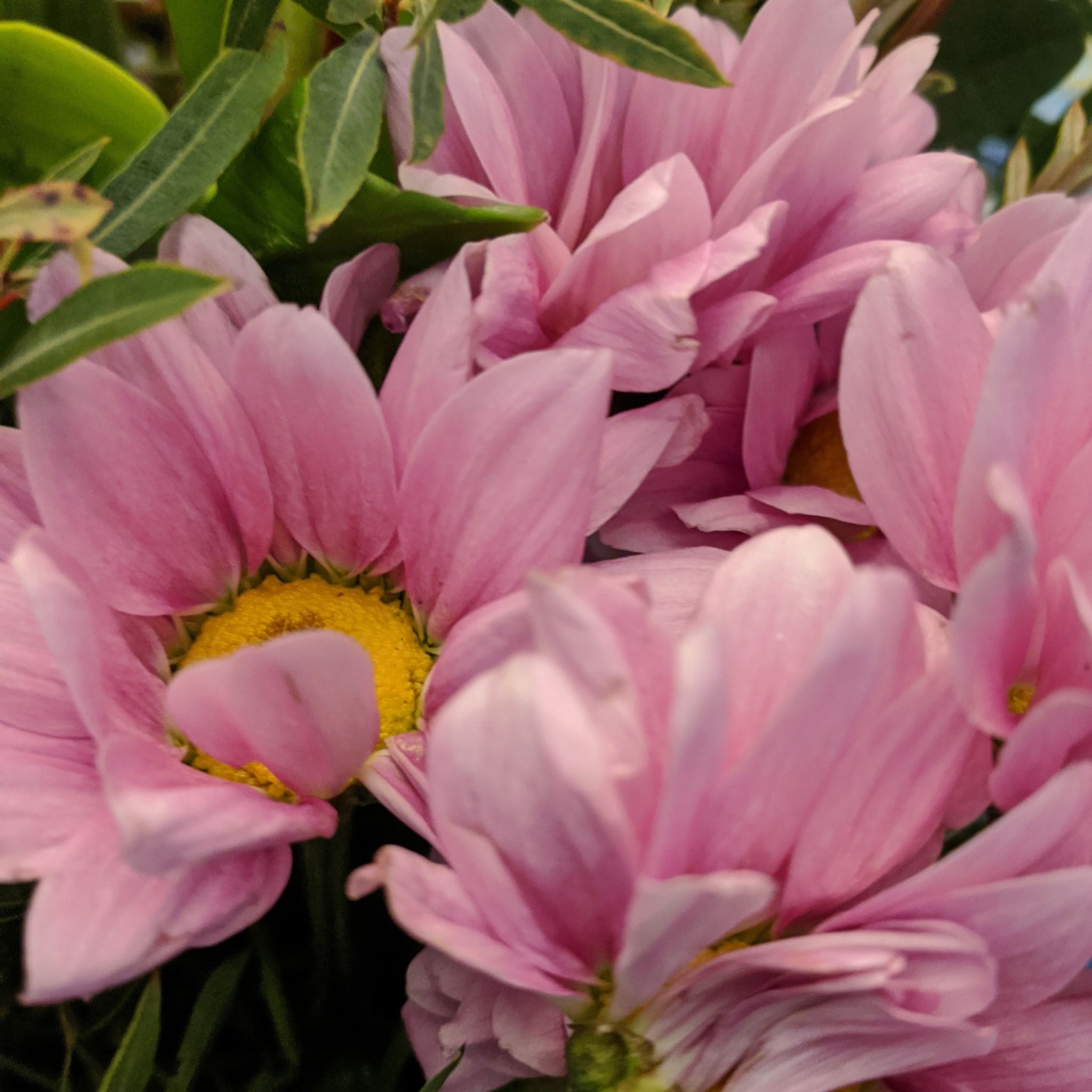 @LovesPLants