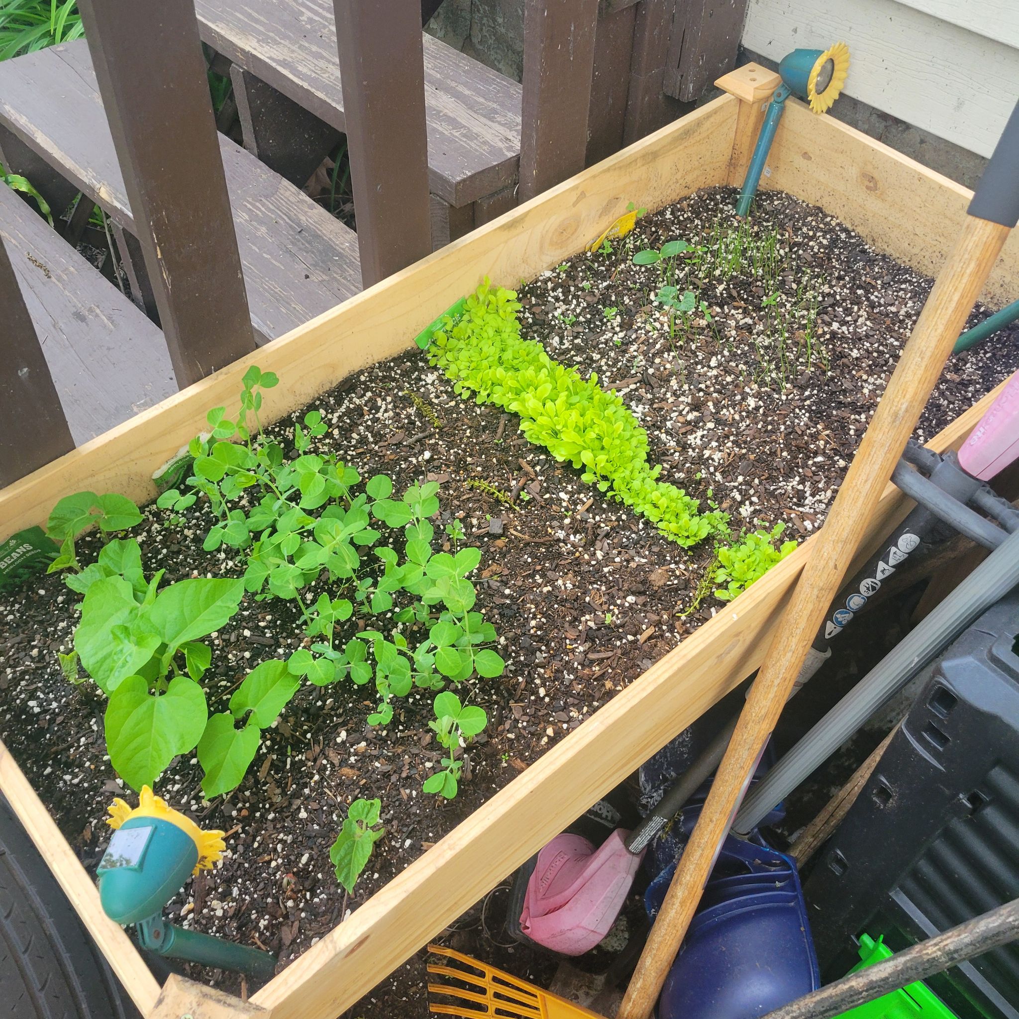 @DoyenneLilliput avatar