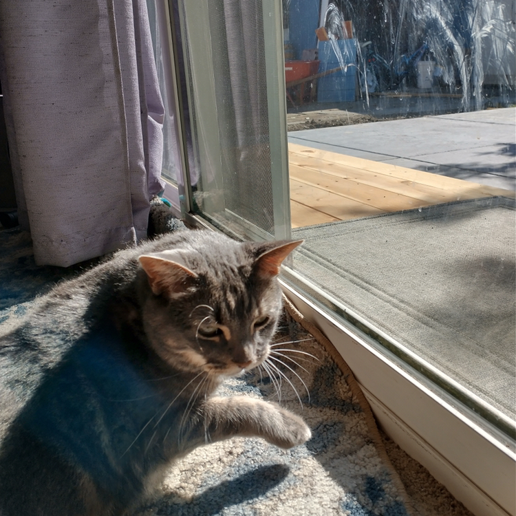 Avatar for @morgangrace on Greg, the plant care app