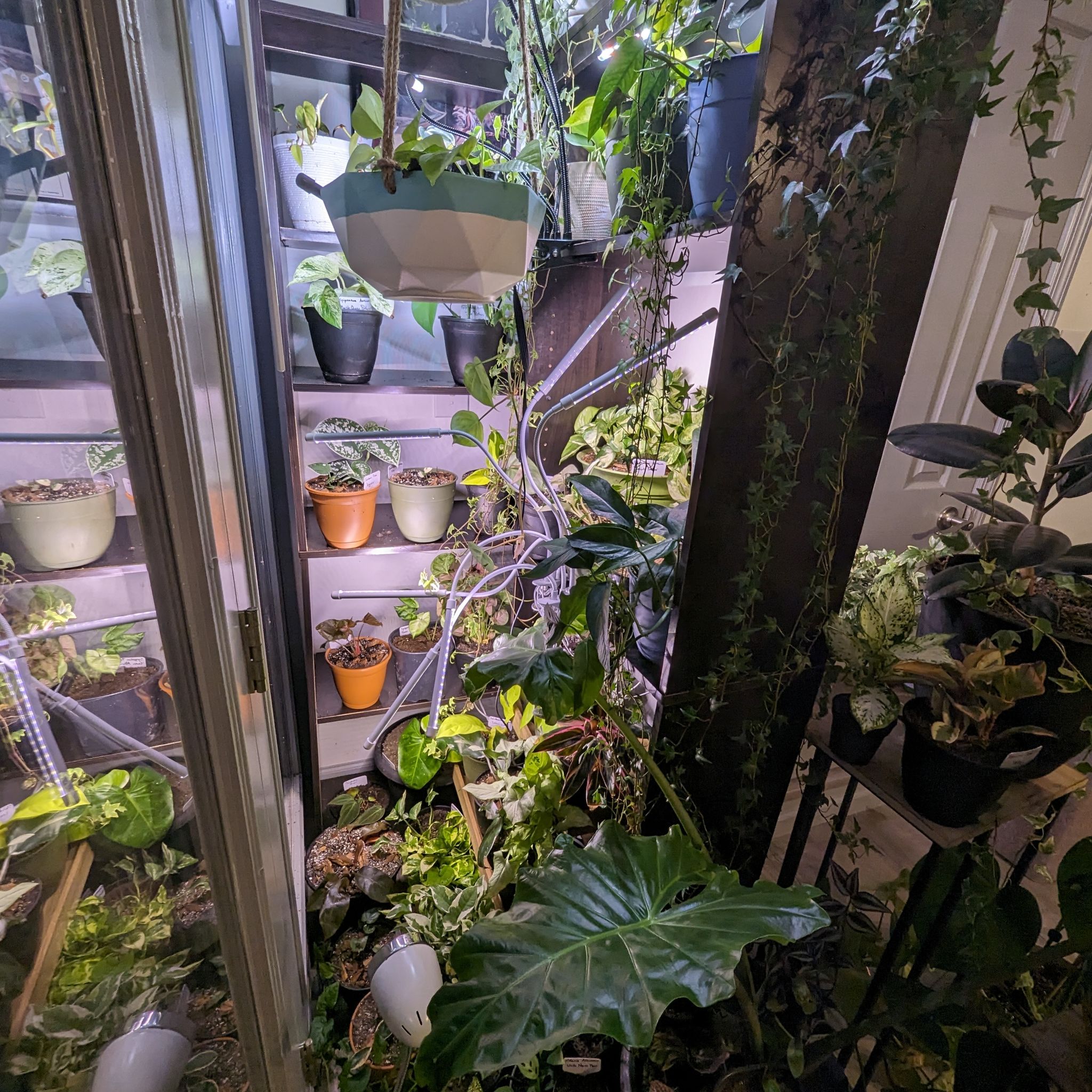 Avatar for @MDov on Greg, the plant care app