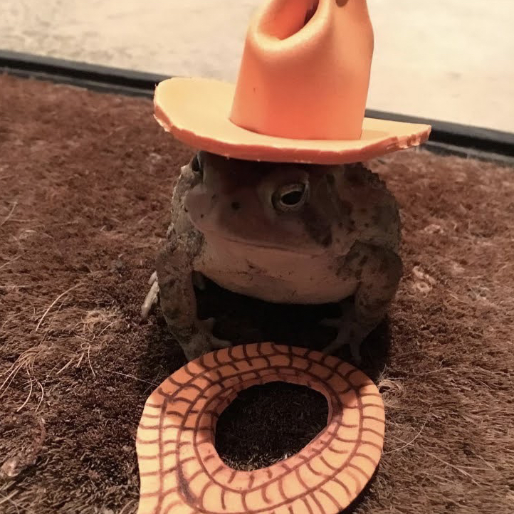 Avatar for @nadine on Greg, the plant care app