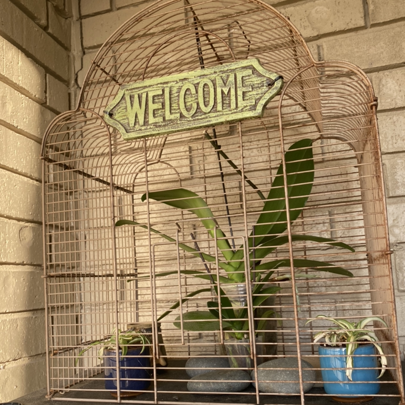 Avatar for @Franceypants on Greg, the plant care app