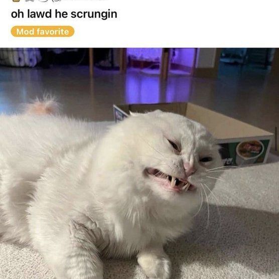 @smugwort