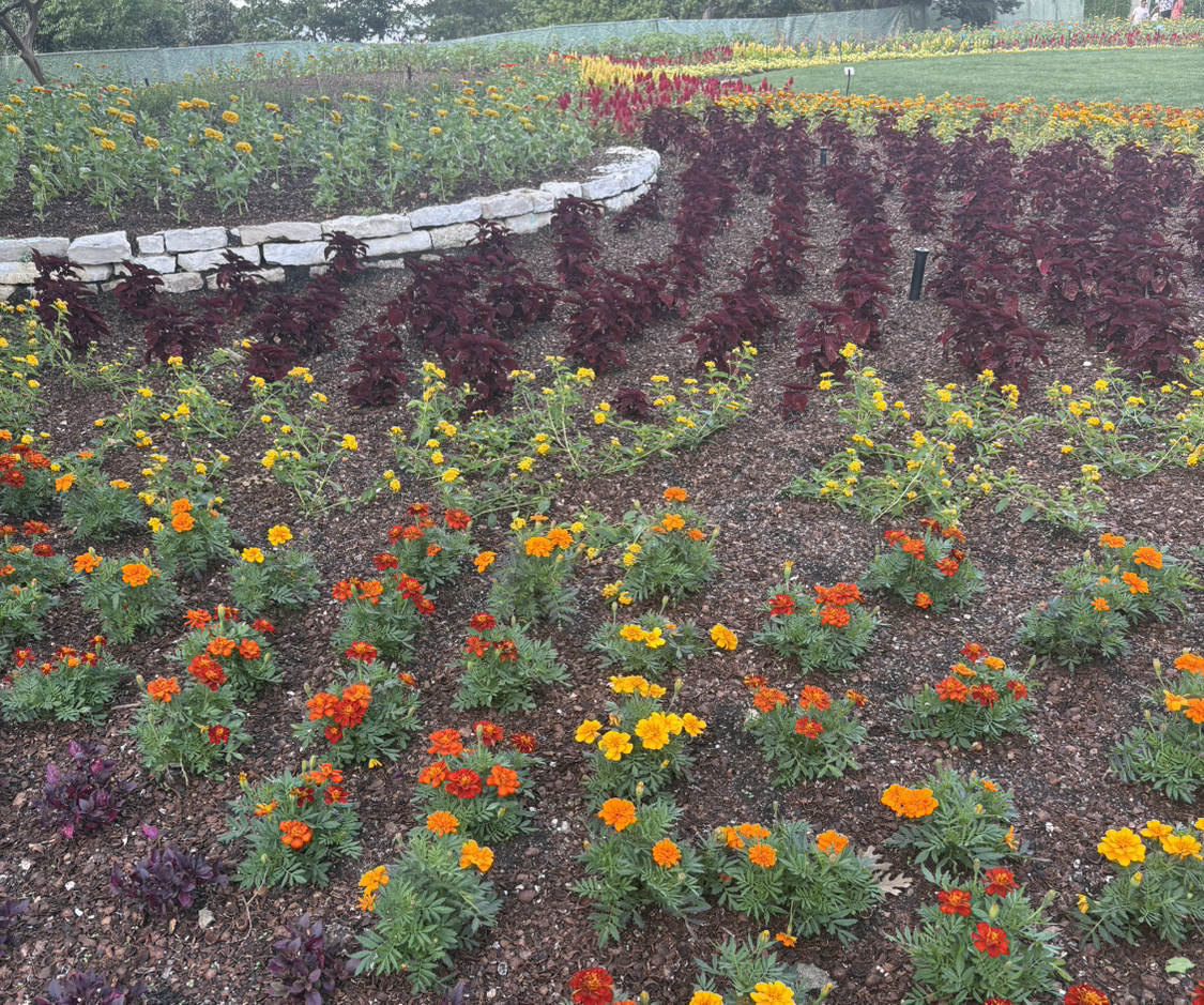 @PoetPoisonpie avatar