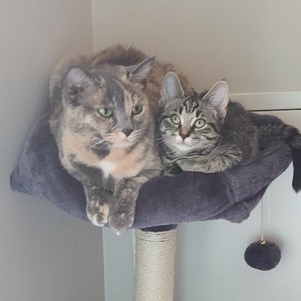 Avatar for @Jess.l2000 on Greg, the plant care app