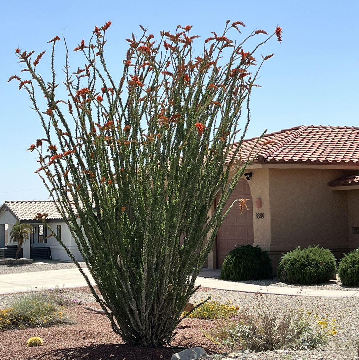 Avatar for @LikelyLiquorice on Greg, the plant care app