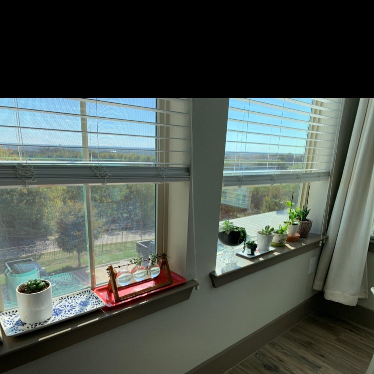 @FitYerbasanta avatar